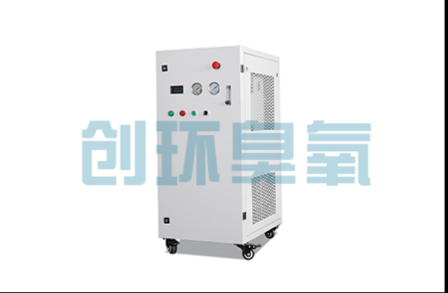 乌鲁木齐工厂化养鲈必看：2026年臭氧发生器替代传统消毒的最新方案