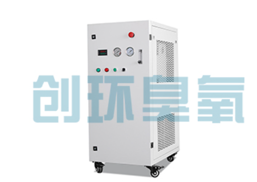 乌鲁木齐石斑鱼养殖水质调控完整指南：臭氧发生器配置与操作步骤