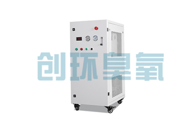 乌鲁木齐比传统换水更高效？臭氧发生器在石斑鱼养殖中的水质净化原理解析